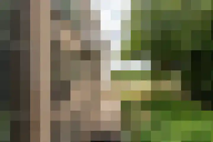 Raadhuisplein 28 Asperen thumbnail 16