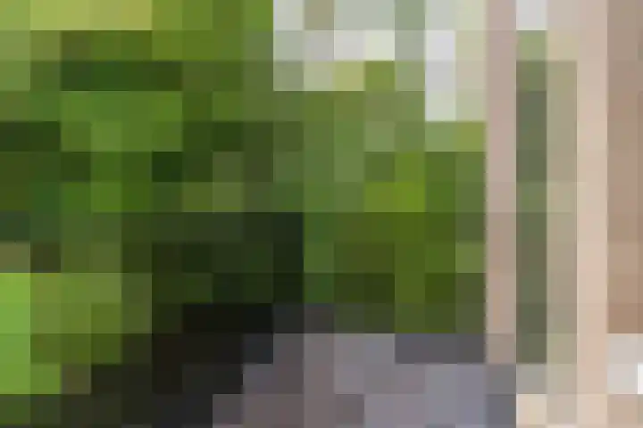 Raadhuisplein 28 Asperen thumbnail 17