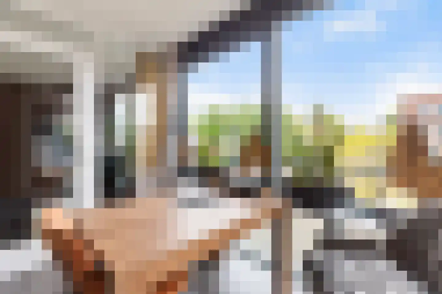 Raadhuisplein 29 Alblasserdam thumbnail 13