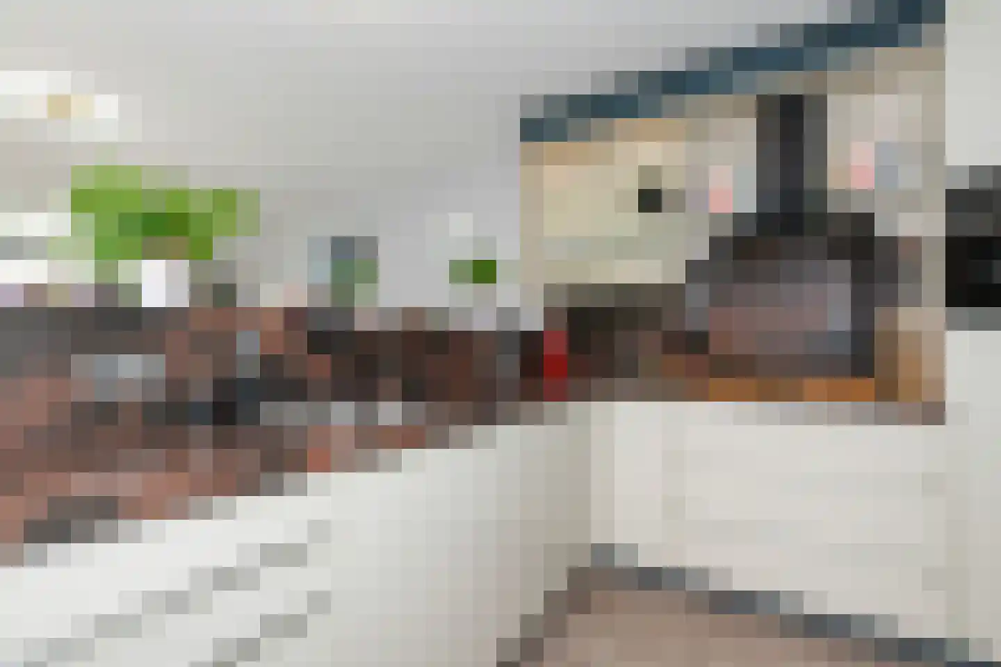 Raadhuisplein 29 Alblasserdam thumbnail 18
