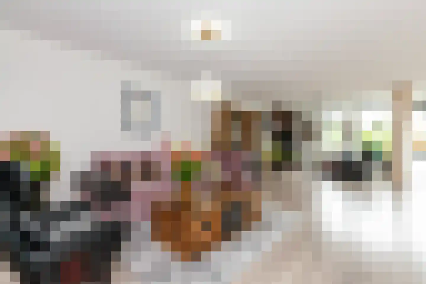 Raadhuisplein 29 Alblasserdam thumbnail 9