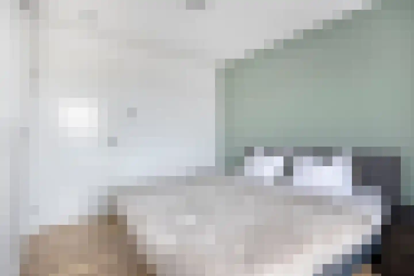 Raadhuisplein 3 h Castricum thumbnail 22