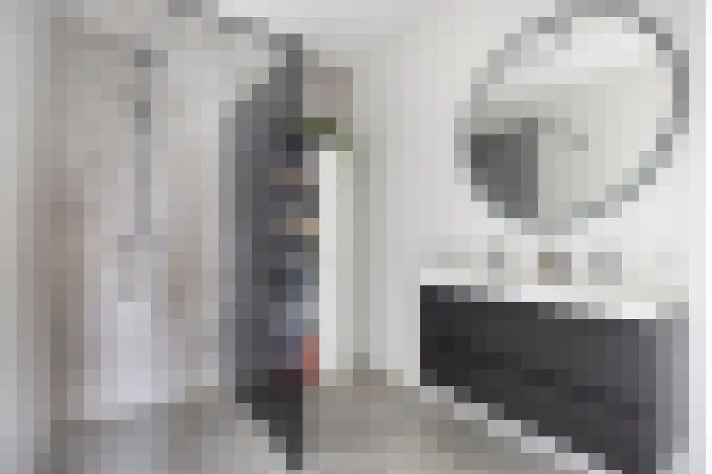 Raadhuisplein 3 h Castricum thumbnail 27