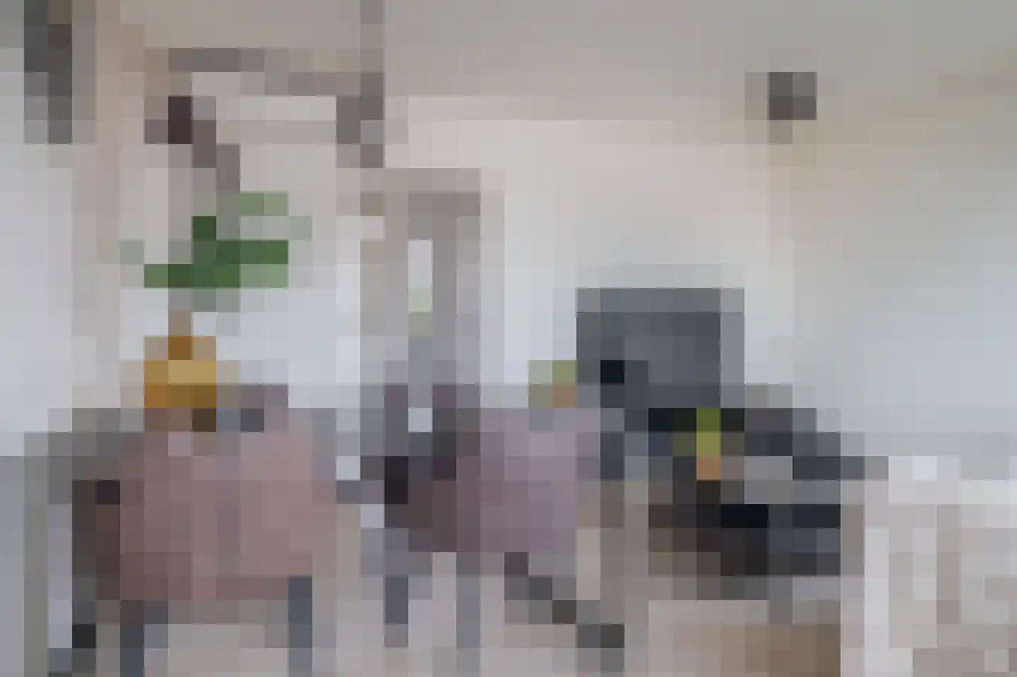 Raadhuisplein 31 a Lekkerkerk thumbnail 10