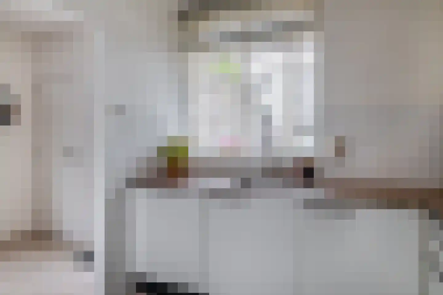 Raadhuisplein 31 a Lekkerkerk thumbnail 12