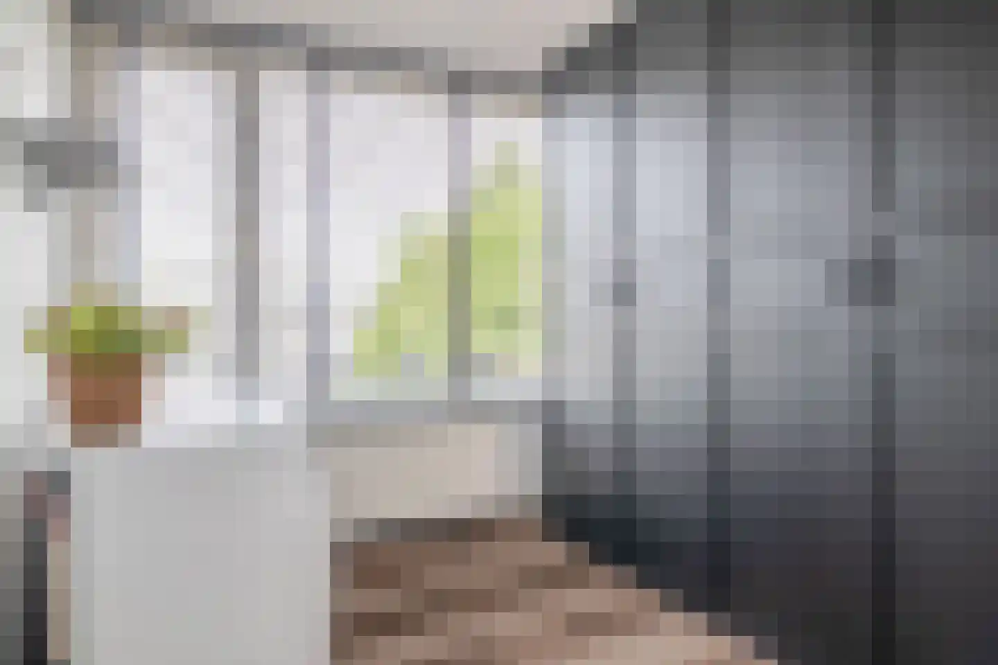 Raadhuisplein 31 a Lekkerkerk thumbnail 15