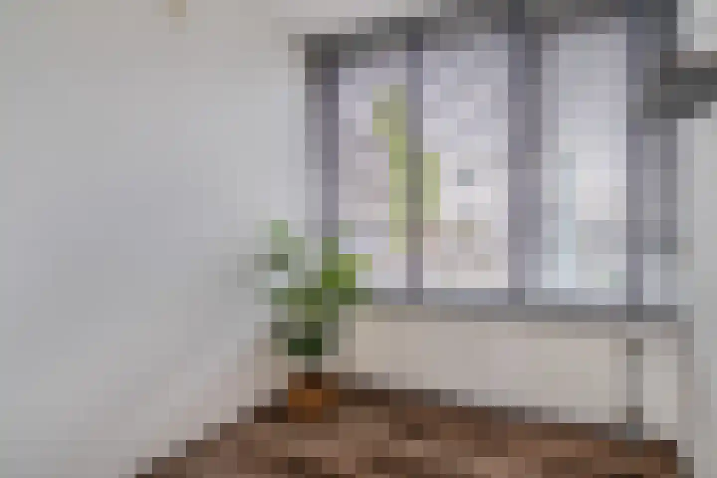 Raadhuisplein 31 a Lekkerkerk thumbnail 16