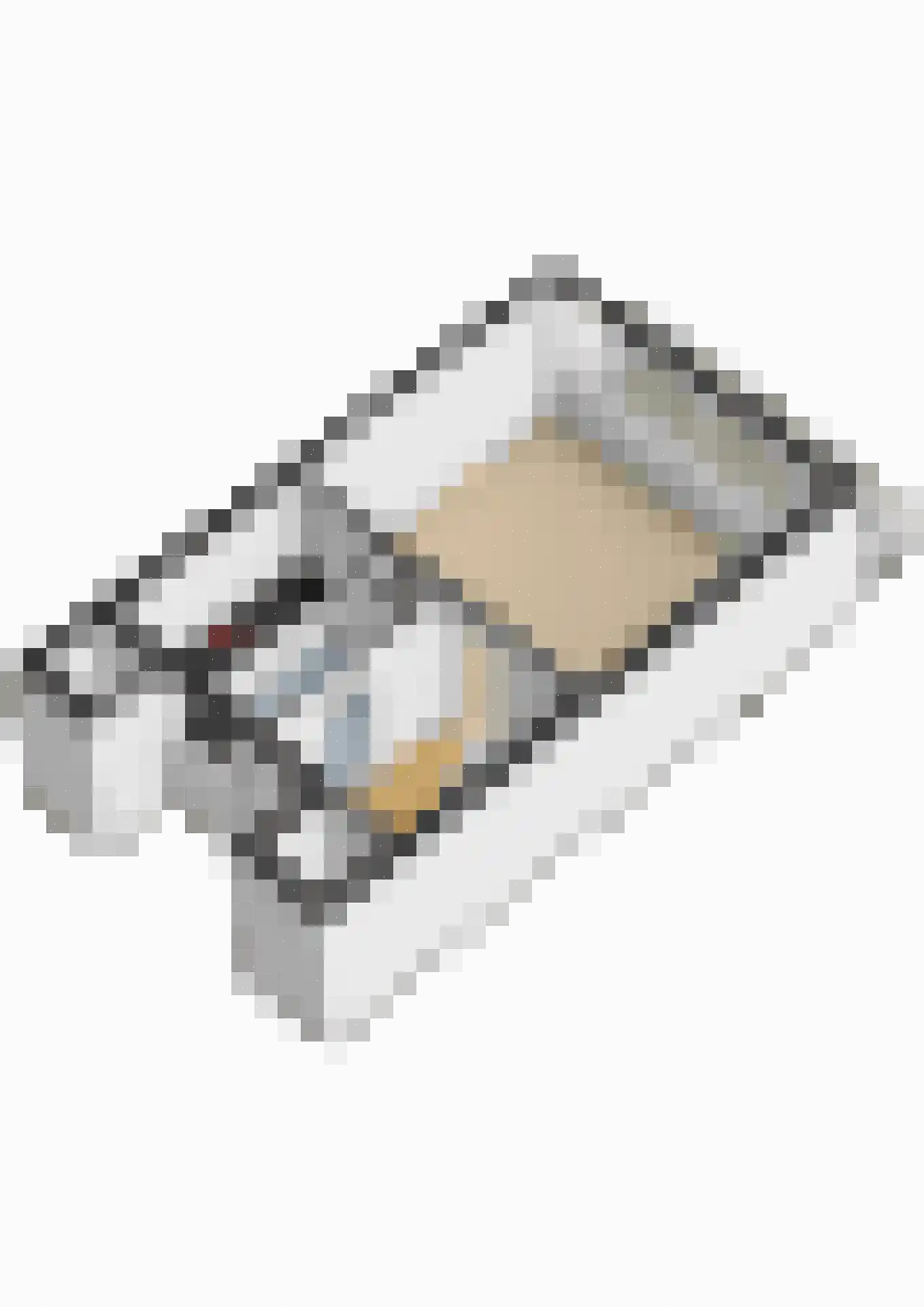 Raadhuisplein 31 a Lekkerkerk thumbnail 35