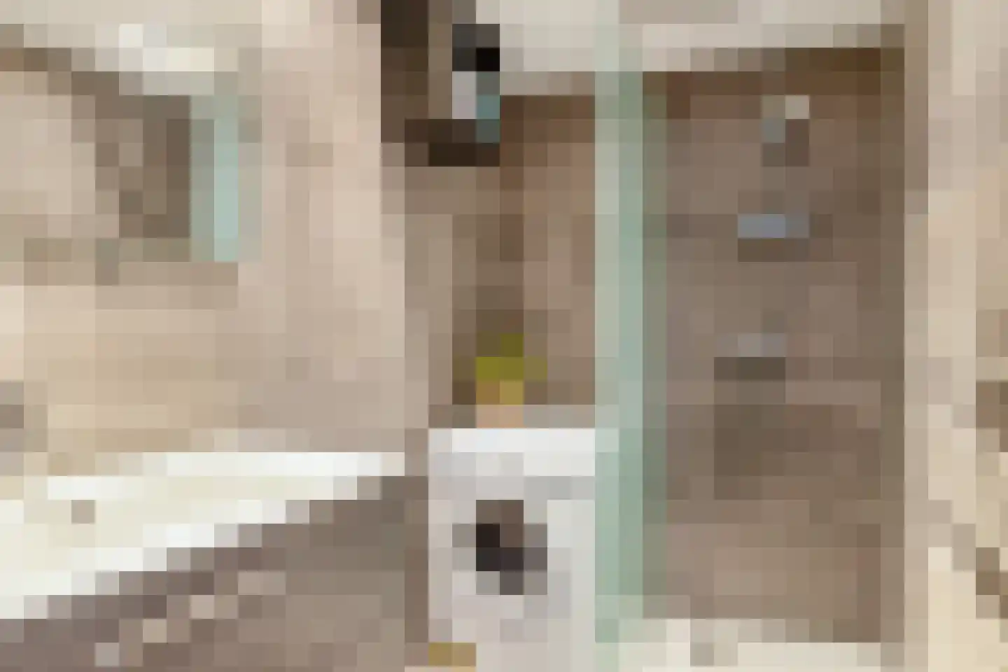 Raadhuisplein 31 a Lekkerkerk thumbnail 5