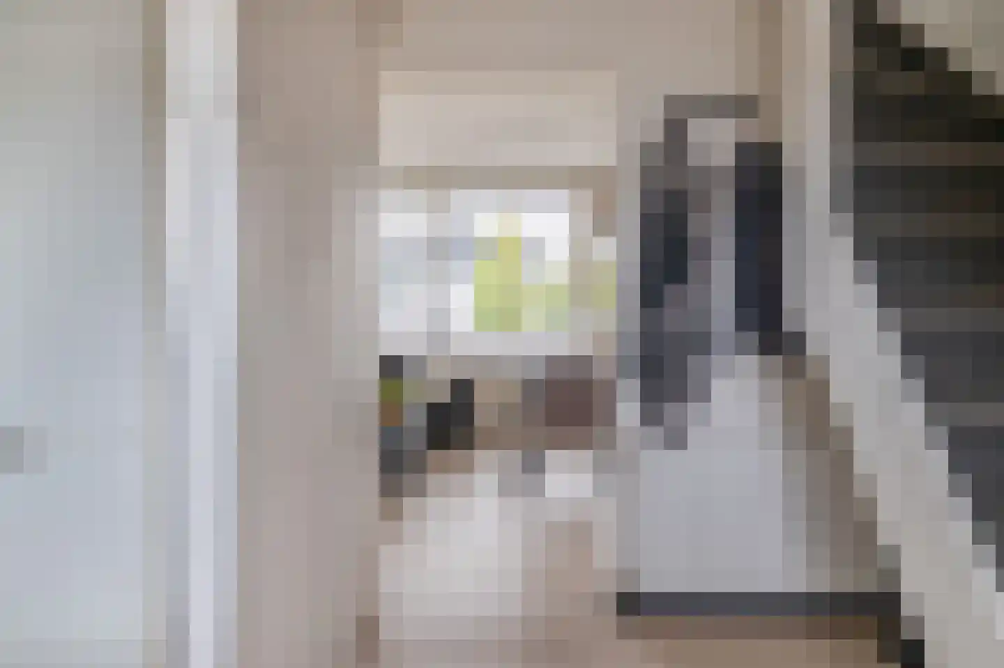 Raadhuisplein 31 a Lekkerkerk thumbnail 9