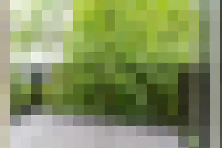 Raadhuisplein 32 Asperen thumbnail 14