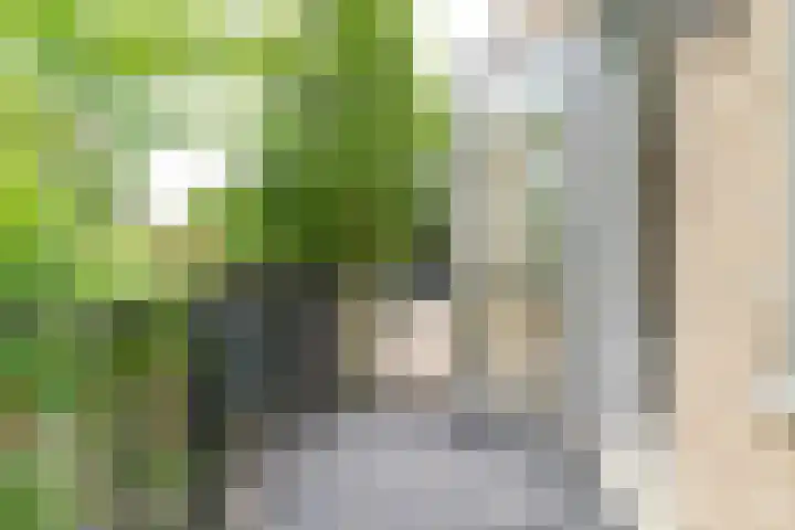 Raadhuisplein 32 Asperen thumbnail 15
