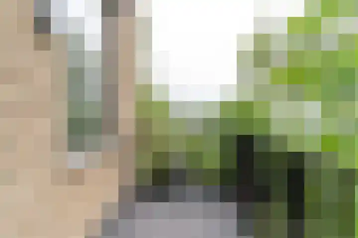 Raadhuisplein 32 Asperen thumbnail 16