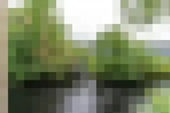Raadhuisplein 32 Asperen thumbnail 17