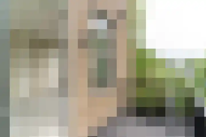 Raadhuisplein 32 Asperen thumbnail 18