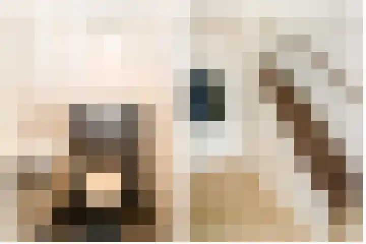 Raadhuisplein 33 a Lekkerkerk thumbnail 10