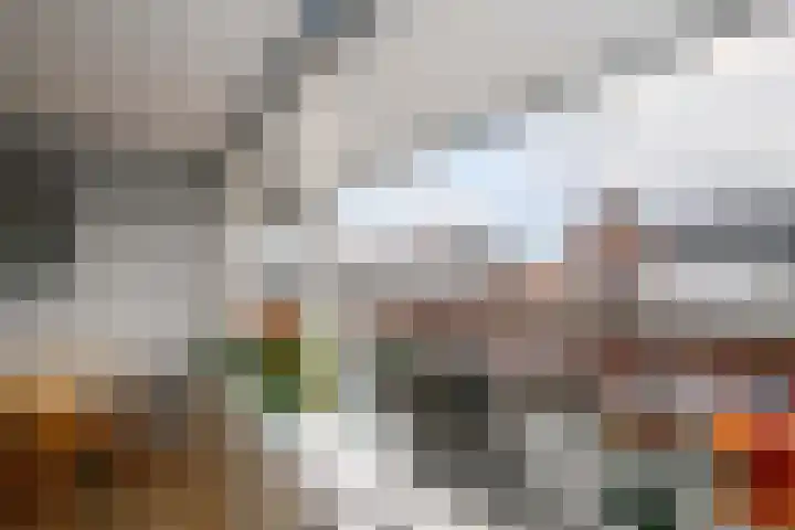 Raadhuisplein 33 a Lekkerkerk thumbnail 12