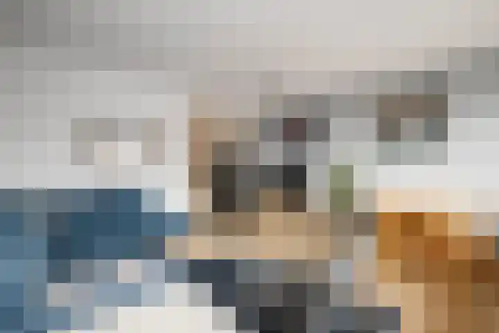 Raadhuisplein 33 a Lekkerkerk thumbnail 17