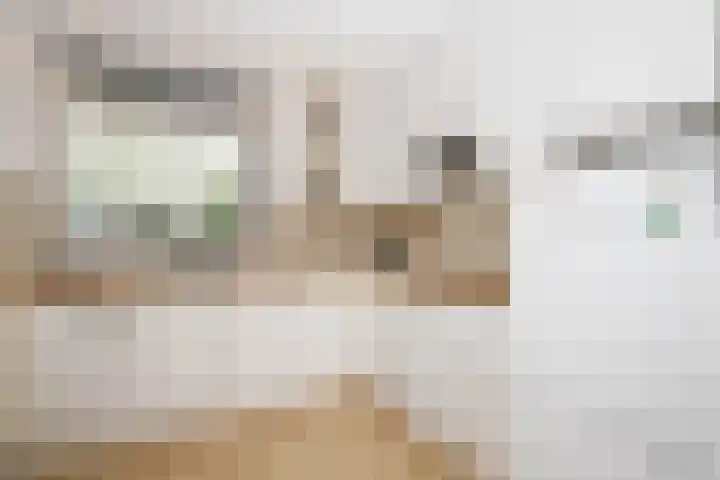 Raadhuisplein 33 a Lekkerkerk thumbnail 18