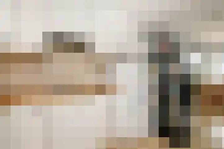 Raadhuisplein 33 a Lekkerkerk thumbnail 20