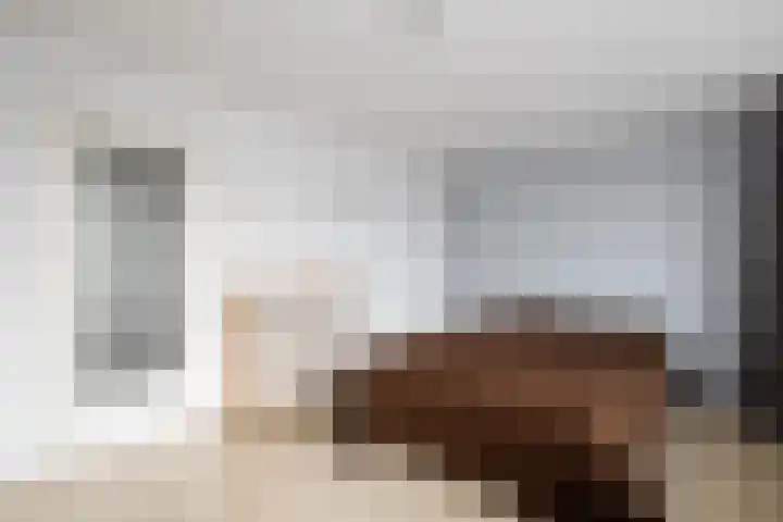 Raadhuisplein 33 a Lekkerkerk thumbnail 21