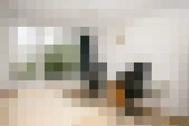 Raadhuisplein 33 a Lekkerkerk thumbnail 23