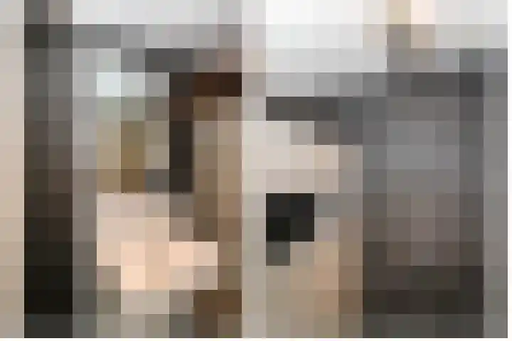 Raadhuisplein 33 a Lekkerkerk thumbnail 27