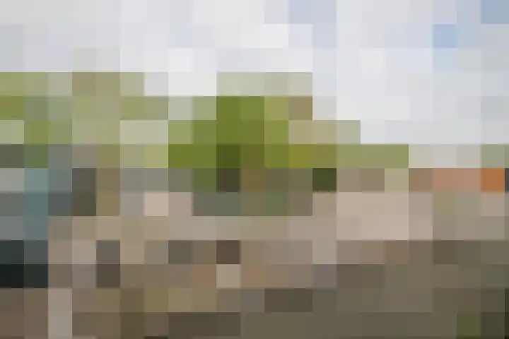 Raadhuisplein 33 a Lekkerkerk thumbnail 28