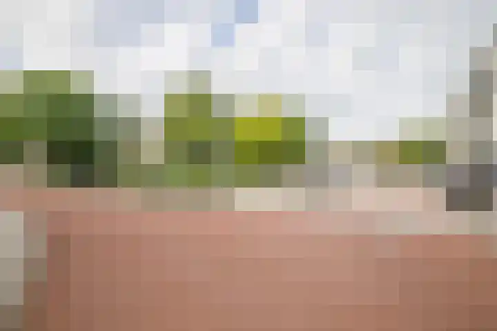 Raadhuisplein 33 a Lekkerkerk thumbnail 29