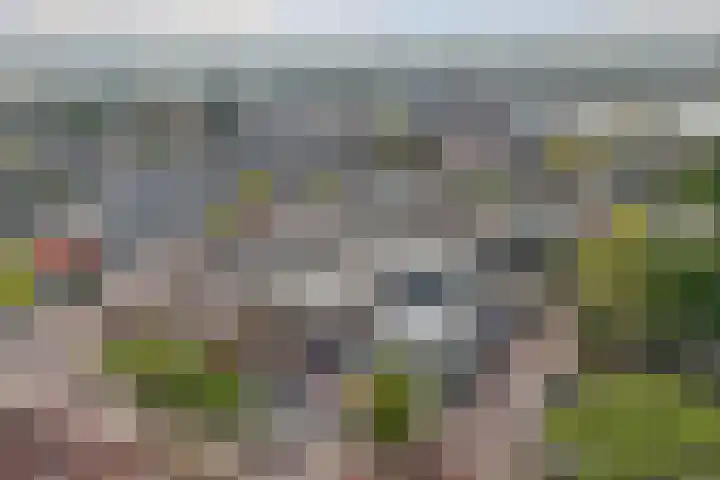 Raadhuisplein 33 a Lekkerkerk thumbnail 34