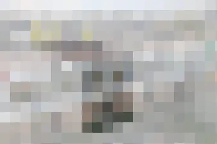 Raadhuisplein 33 a Lekkerkerk thumbnail 6