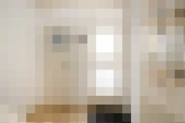Raadhuisplein 33 a Lekkerkerk thumbnail 9