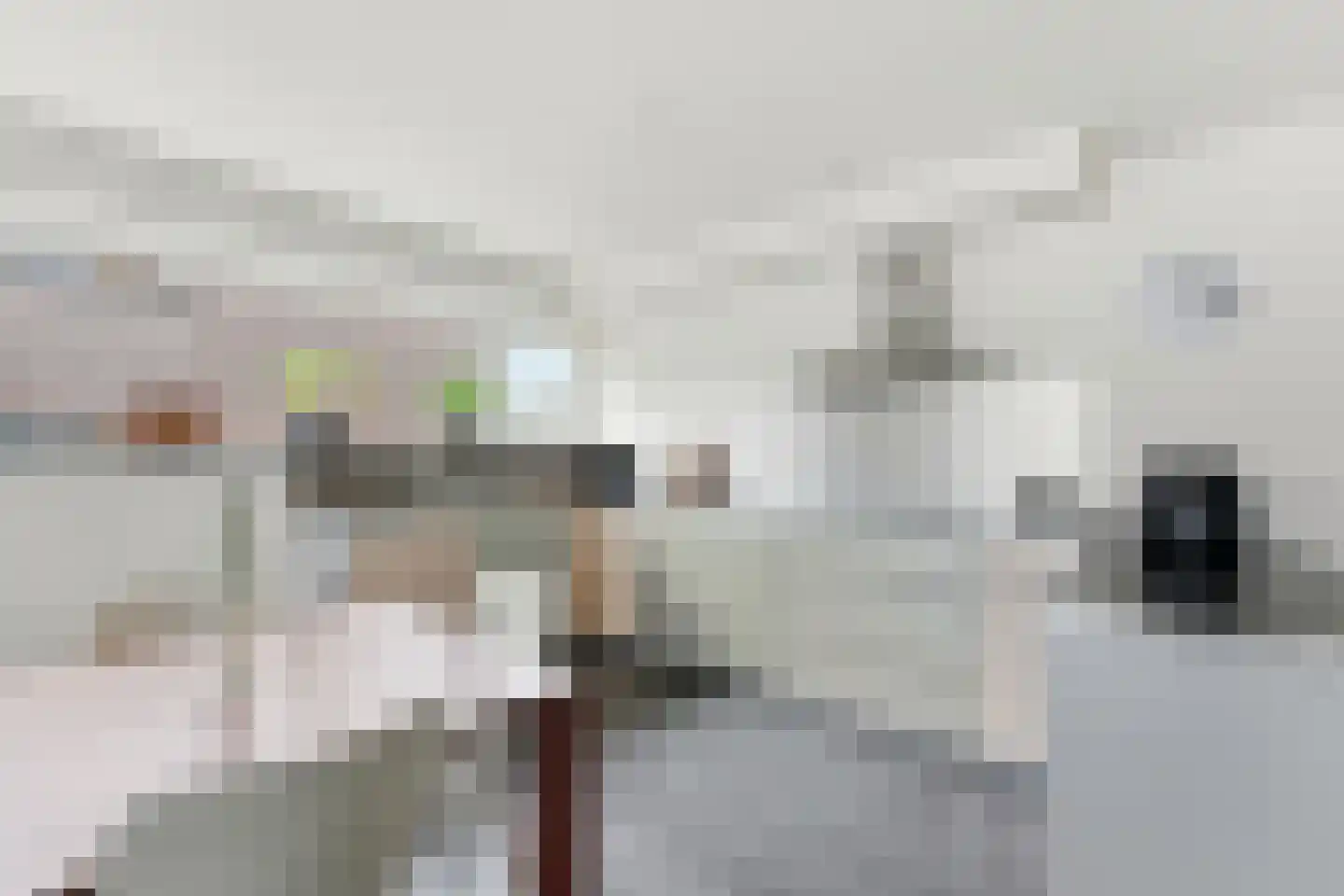 Raadhuisplein 33 Alblasserdam thumbnail 15