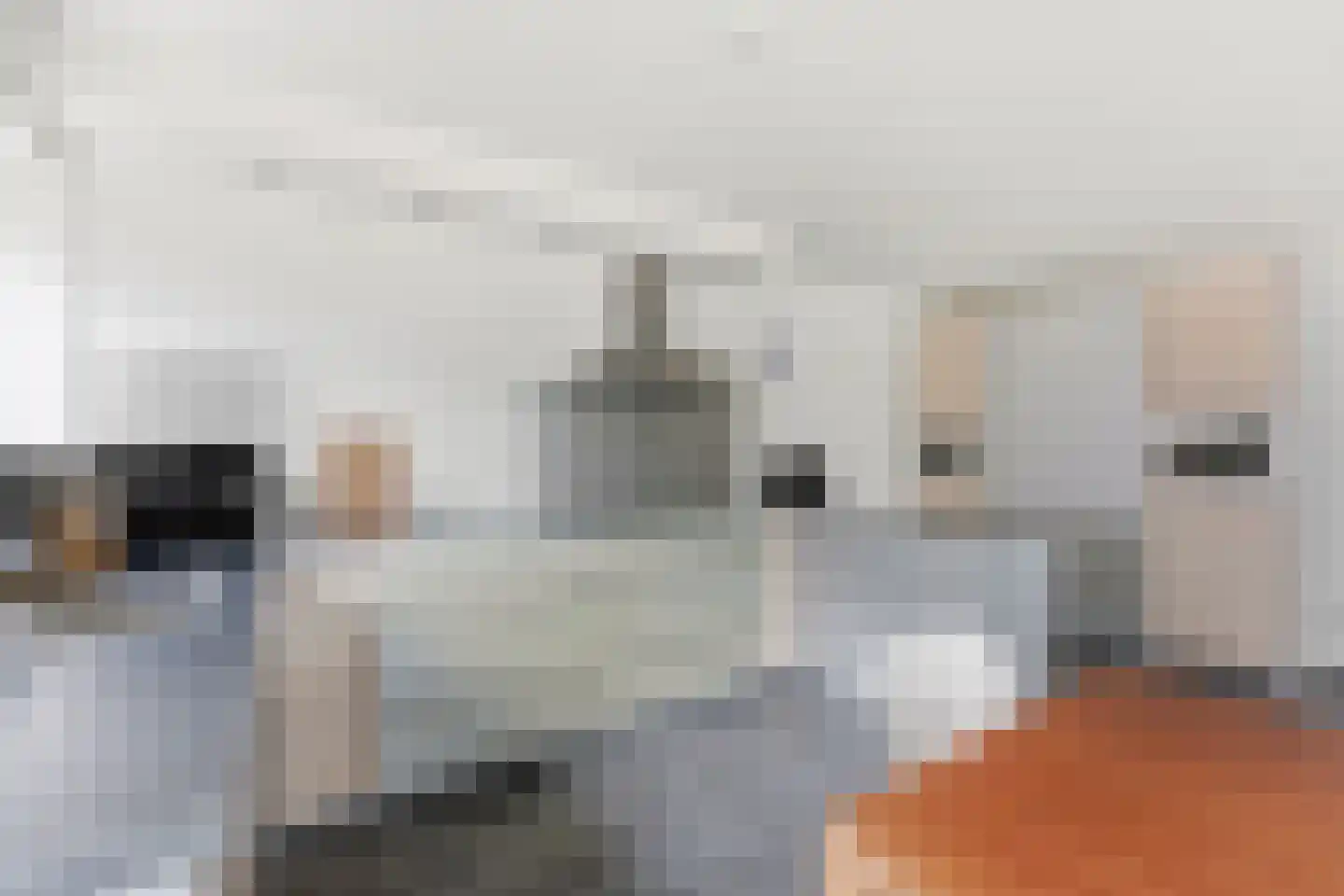 Raadhuisplein 33 Alblasserdam thumbnail 16