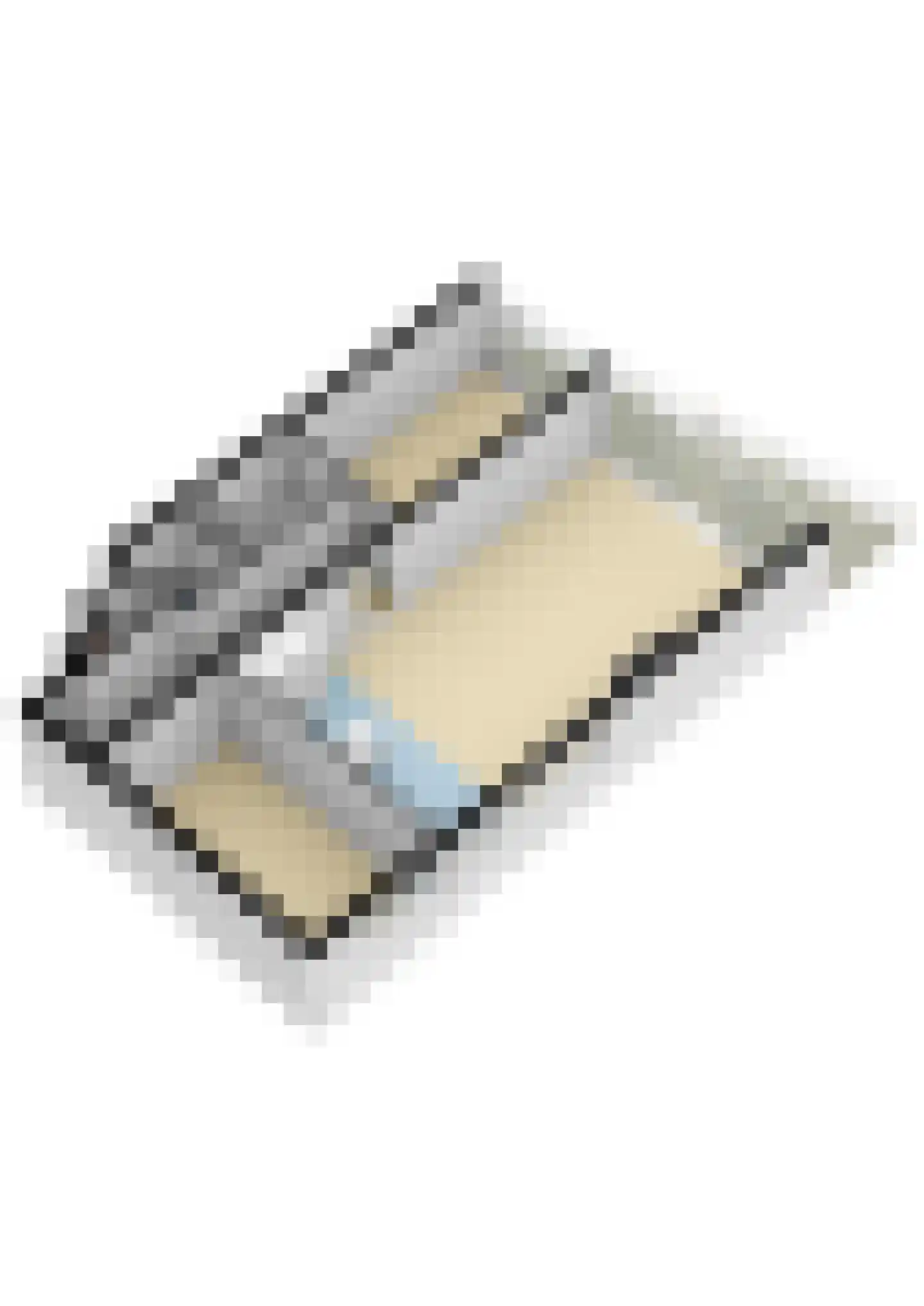 Raadhuisplein 33 Alblasserdam thumbnail 41