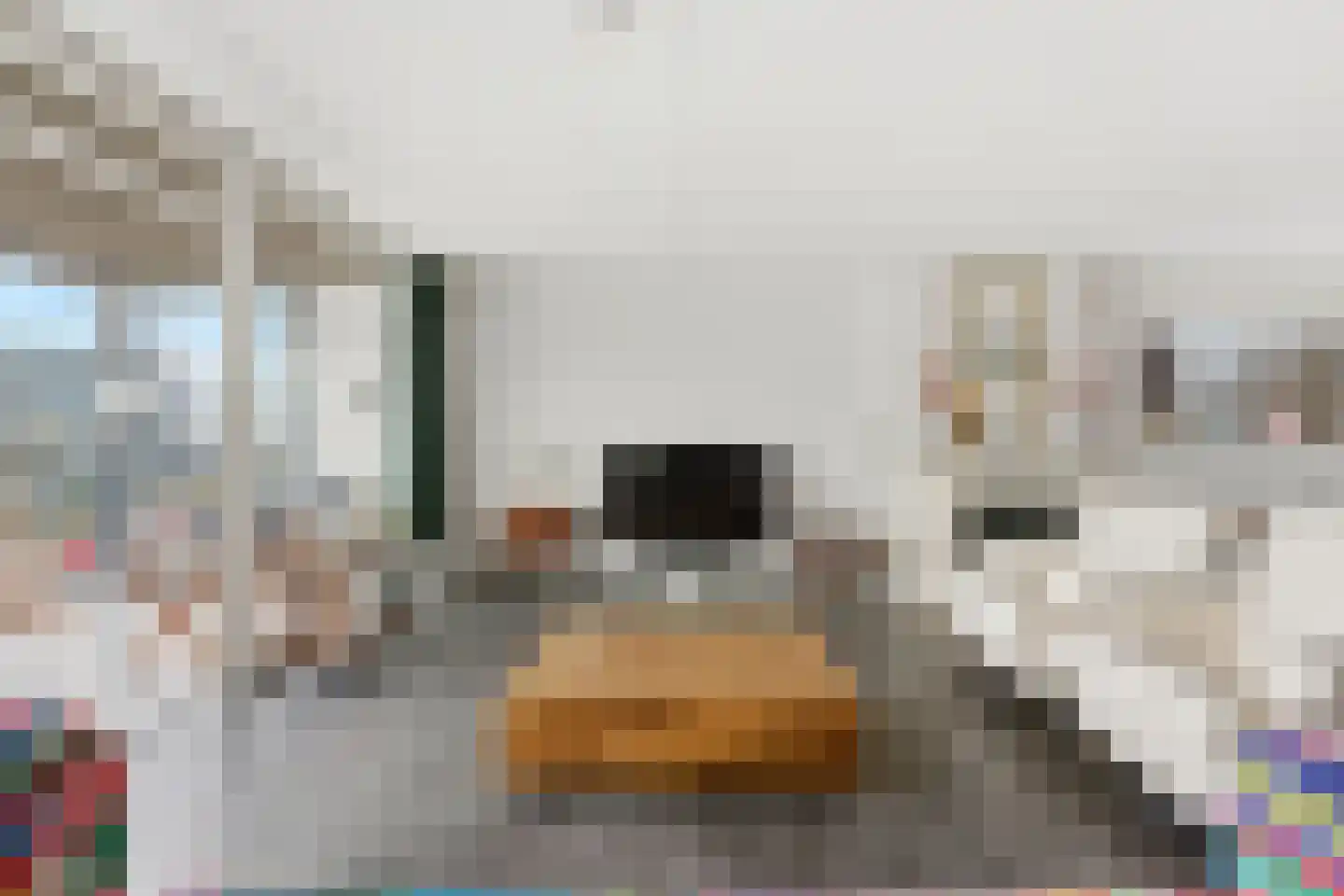 Raadhuisplein 33 Alblasserdam thumbnail 8