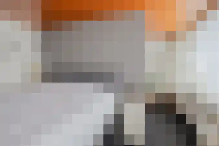 Raadhuisplein 33 Rozenburg thumbnail 16