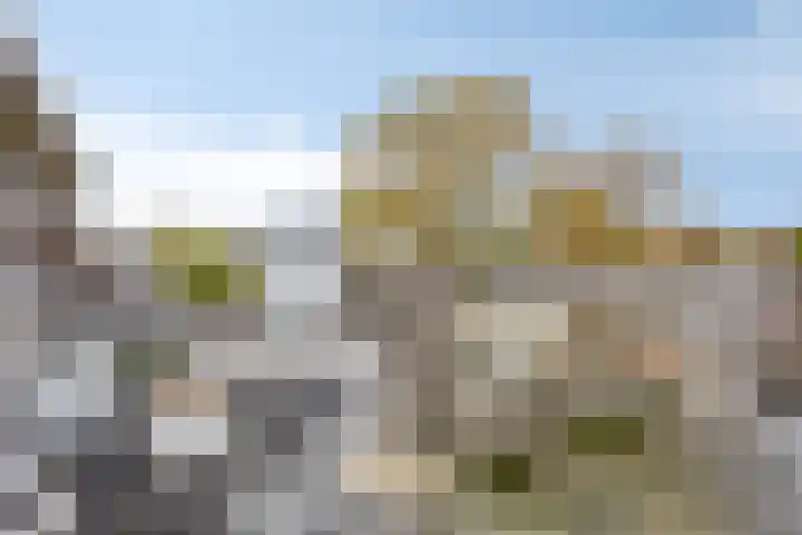 Raadhuisplein 33 Rozenburg thumbnail 24
