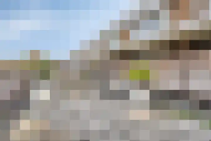Raadhuisplein 33 Rozenburg thumbnail 25