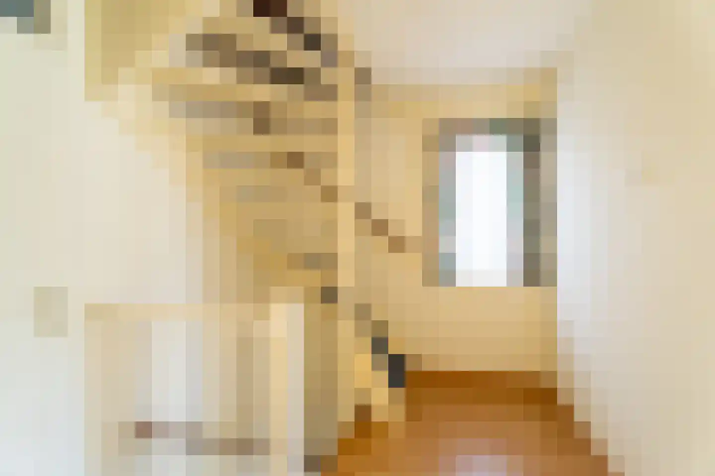 Raadhuisplein 36 Bovenkarspel thumbnail 18