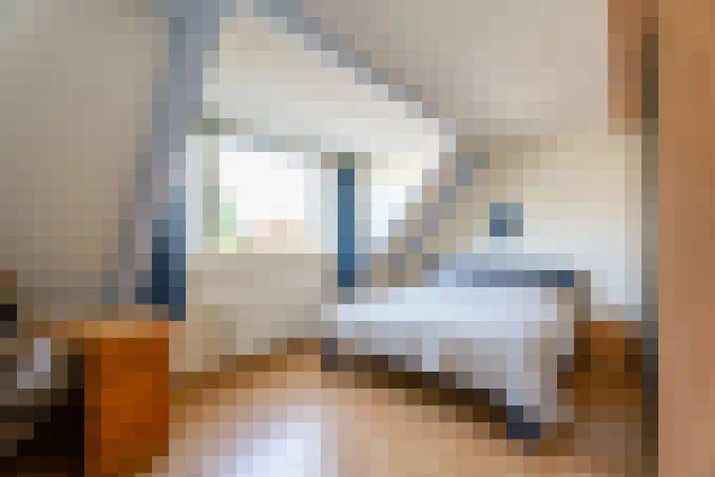Raadhuisplein 36 Bovenkarspel thumbnail 19