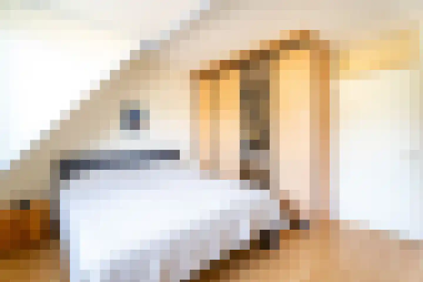 Raadhuisplein 36 Bovenkarspel thumbnail 20