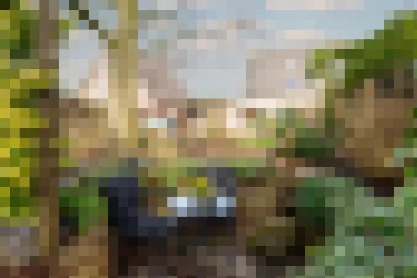 Raadhuisplein 36 Bovenkarspel thumbnail 29