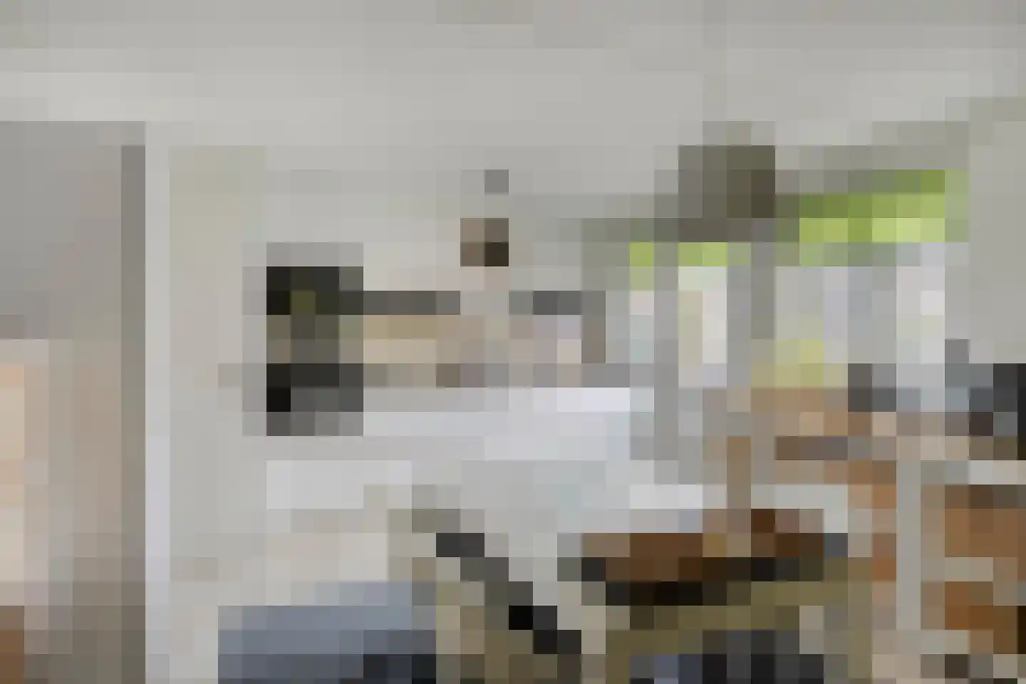 Raadhuisplein 37 Haps thumbnail 15