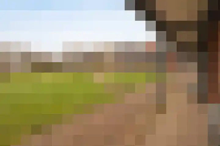 Raadhuisplein 39 Etten-Leur thumbnail 36