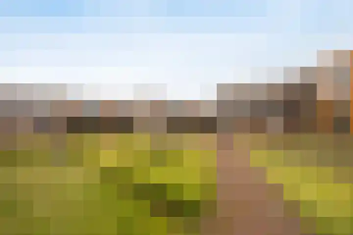 Raadhuisplein 39 Etten-Leur thumbnail 37