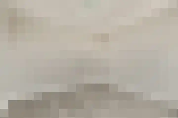 Raadhuisplein 4 Aalsmeer thumbnail 12