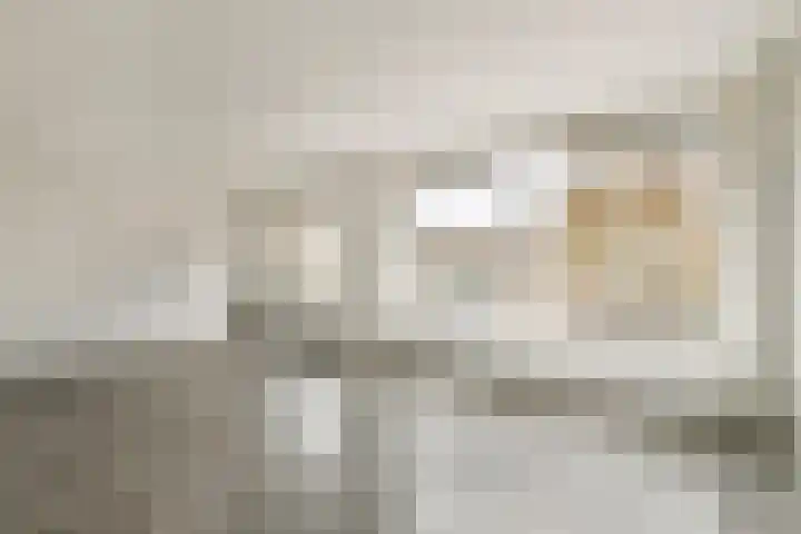 Raadhuisplein 4 Aalsmeer thumbnail 5