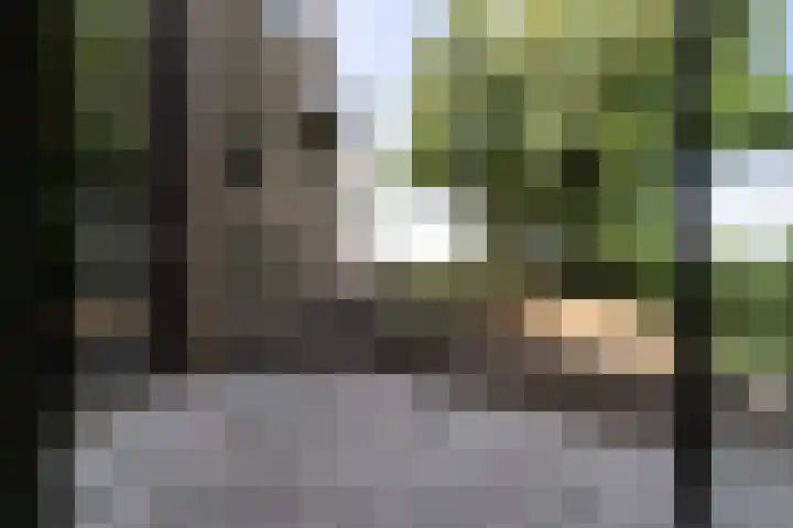Raadhuisplein 4 Asperen thumbnail 13