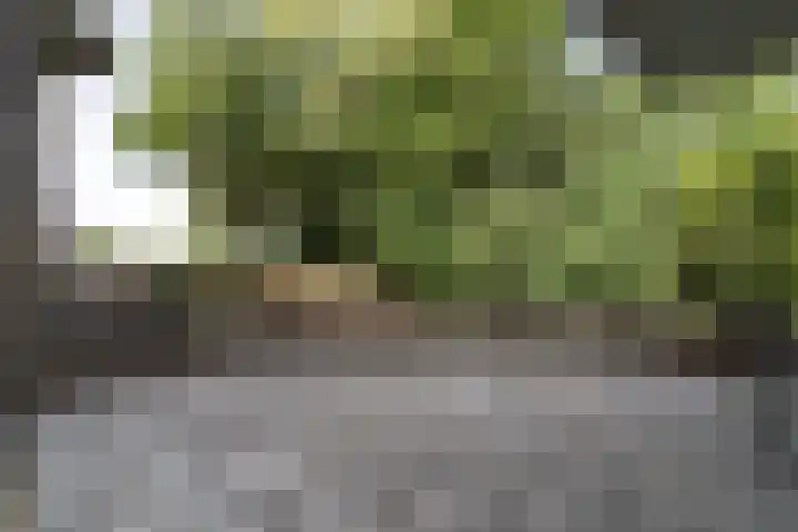 Raadhuisplein 4 Asperen thumbnail 14